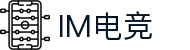 IM(股份有限公司)电竞-电子竞技平台